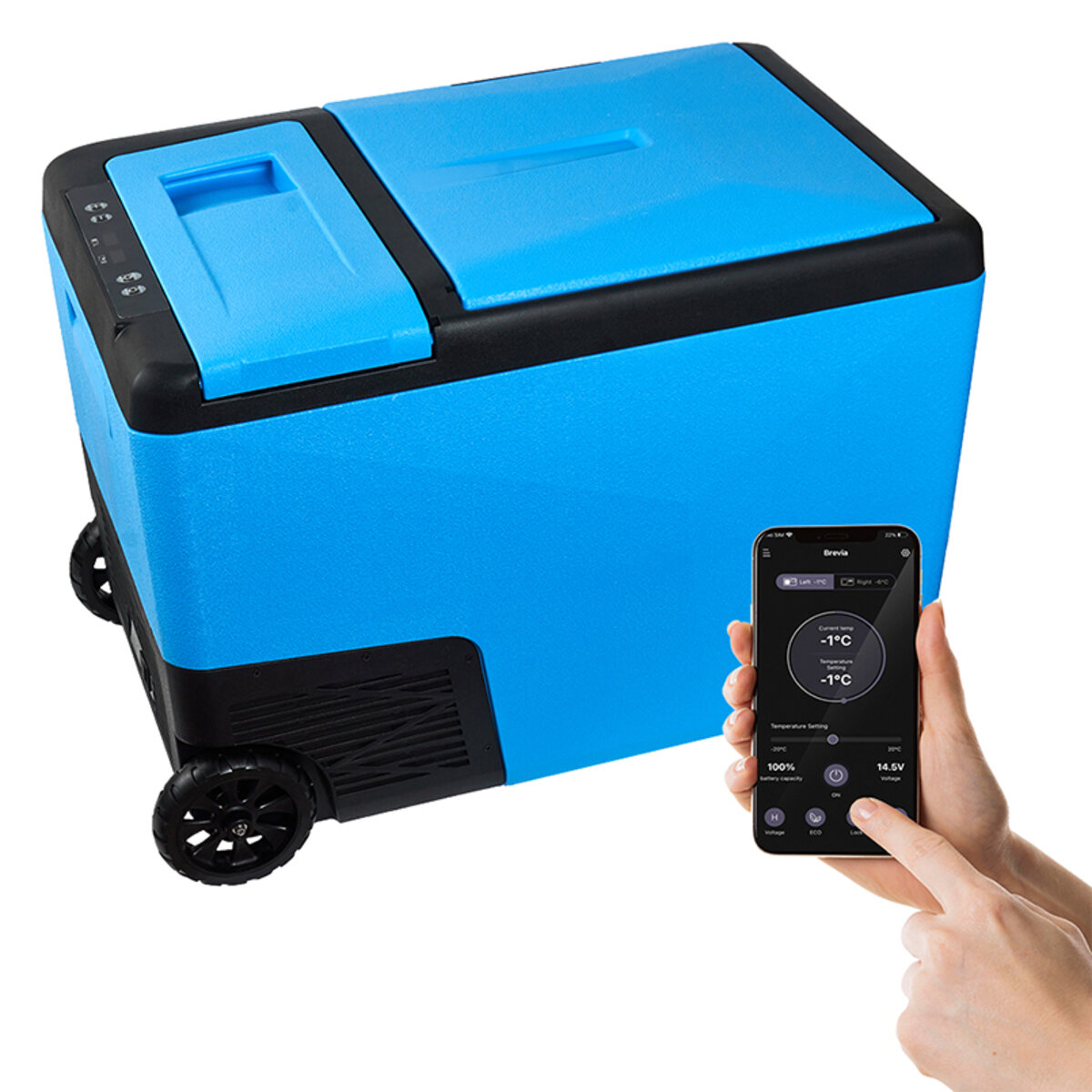 Холодильник автомобільний Brevia 38л двокамерний 22330 (22330) дивитися фото №3